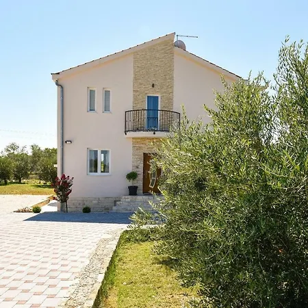 Oliva